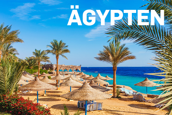 kachel-zielgebiete-aegypten-600x400 Reiseziel Ägypten